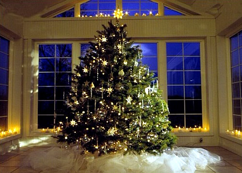 Tannenbaum - Christmas Tree