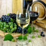 Roots of German Winemaking