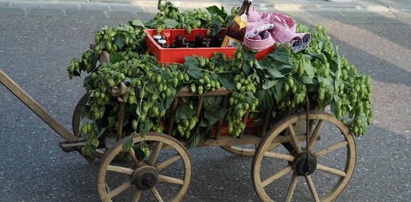 Decorated Bollerwagen during Vatertag celebrations in Germany