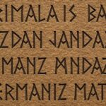 The Evolution of the German Language: A Cultural History