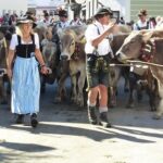 Traditional German Clothing: The Stories Behind the Styles