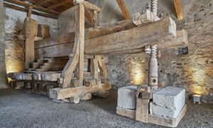 Wine Tourism in Germany: How to Taste Like a Local