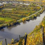 Mosel Magic: Germany’s Most Scenic River for White Wine Lovers
