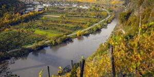 Mosel Magic: Germany’s Most Scenic River for White Wine Lovers