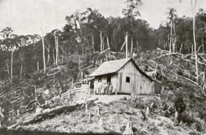 Founding of Blumenau: German Roots in Brazil