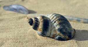 The German Love for Rules on Holiday