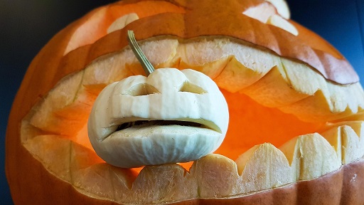 German pumpkin festivals